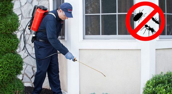 Harmandalı Akrep İlaçlama böcek ilaçlama ve haşere kontrolü — ilaclama-tr.com